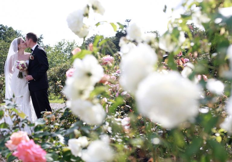 bride and groom kiss in front of the roses