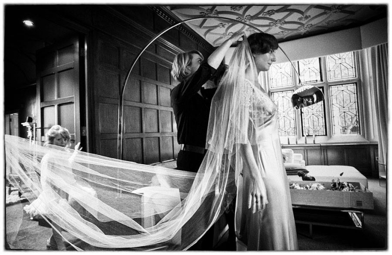 the brides veil