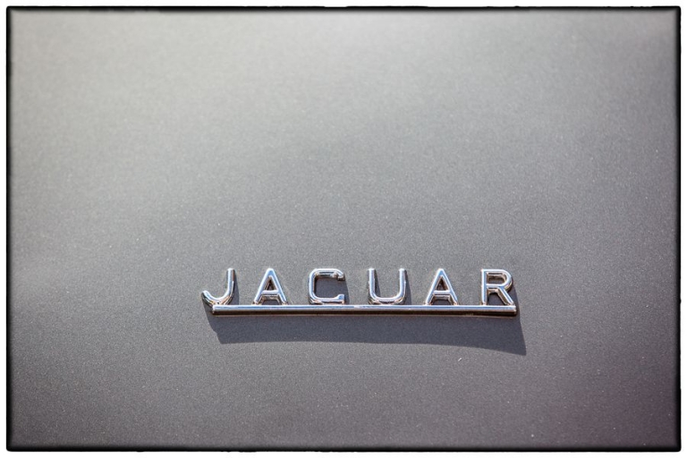 Jaguar