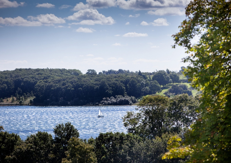 sailing on Rutland Water